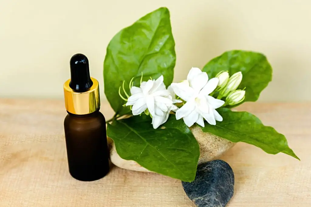 jazmin usado en aromatherapia