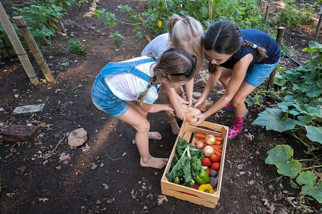 niños cultivando vegetables en un huerto escolar