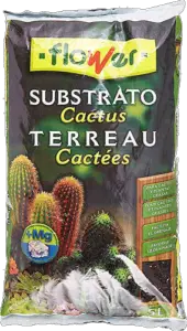 sustrato para cactus y suculentas
